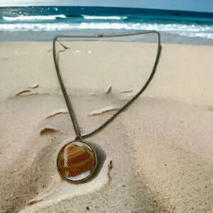 Seashells by the Seashore Cockle Shell Resin Statement Necklace Bronze Chain 22"